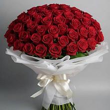 Букет 101 Красная роза Блэк Мэджик #REPLACE_PRED# Некрасовском