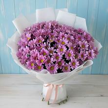 Букет цветов из:  Хризантемы в Некрасовском