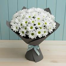 Букет цветов из:  Хризантемы #REPLACE_PRED# Некрасовском