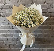 Букет цветов из:  Ромашки в Некрасовском