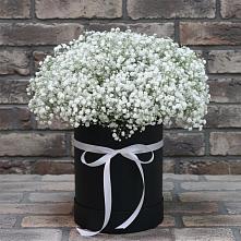 Цветочная композиция из Гипсофила в шляпной коробке #REPLACE_PRED# Некрасовском