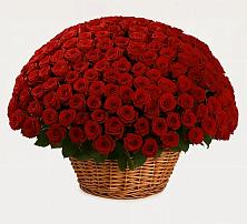 Премиум букет из: Розы в Некрасовском